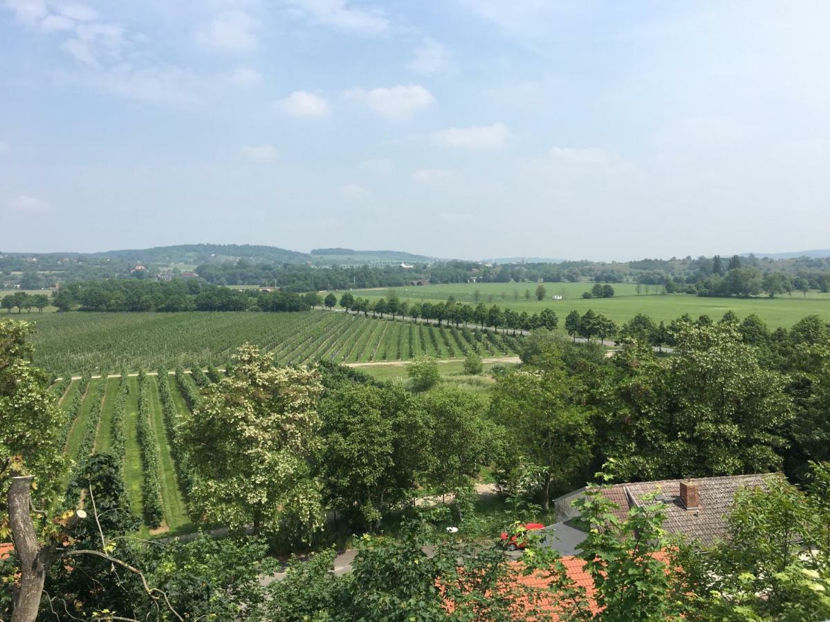 Ferienwohnung Zum Saaletalblick Naumburg  Exterior foto