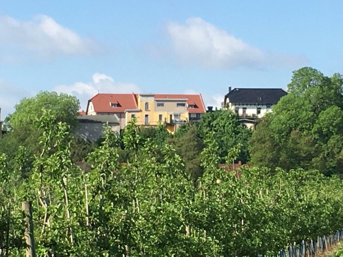 Ferienwohnung Zum Saaletalblick Naumburg  Exterior foto